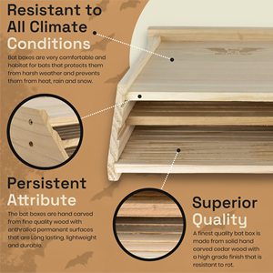 Boîte à chauve-souris en bois, Kit de maison à chauve-souris en bois pratique pour les chauves-souris, abri et terre, boîte à chauve-souris en bois plus facile à installer - Product Image 5