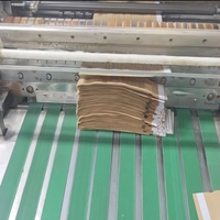 Lot de 100 sachets de stérilisation à usage unique EO/Vapeur, qualité médicale Classe I, pour cosmétiques, outils de manucure, pochette en papier Kraft, désinfection