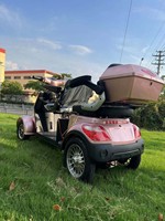 Bas prix 1Kw Ckd moto électrique puissant adulte rue juridique Quad électrique batterie amovible moto Elektro Scooter