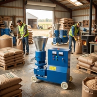 Machine à granulés de bois et de sciure de bois de biomasse 100-300 kg/h pour poêle à granulés et cheminée