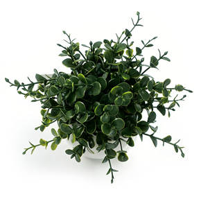 Petites plantes artificielles d'<span class=keywords><strong>eucalyptus</strong></span> <span class=keywords><strong>en</strong></span> <span class=keywords><strong>pot</strong></span> de céramique, fausse <span class=keywords><strong>terre</strong></span>, fausses plantes <span class=keywords><strong>pour</strong></span> étagère, bureau, maison, salle de bain, table basse, décoration - Product Image 3