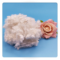 China Supplie Virgin High Quality Hot Sale Stable Fiber for Textile Industry Regenerated Hollow Conjugated 10 Holes Fiber