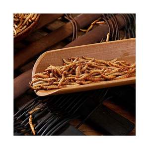 Venda Direta Da Fábrica Natural Seco Mealworm Bread Worms Pet <span class=keywords><strong>Food</strong></span> para Hamsters Pássaros Outros Pequenos Animais - Product Image 1