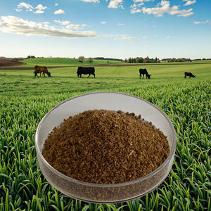 Euter gesundheits futter zusatz für Rinder und Schafe-Verbessert die Milch qualität | Verhindert <span class=keywords><strong>Mastitis</strong></span> | 100% natürliche Inhaltsstoffe - Product Image 4