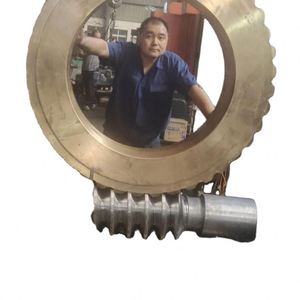 Gusano CNC de cobre y latón grande de alta precisión personalizado para reductor de engranajes - Product Image 1