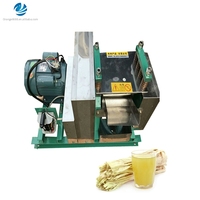 500 kg/uur RVS sapmachine, suikerrietpers, suikerrietpersmachine voor kleine bedrijven