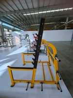 Équipement de musculation de type commercial avancé, équipement de salle de sport commercial, banc de musculation et machine à squats avec personnalisation des couleurs