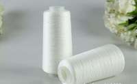 20S/2 40S/2 100% Polyester Spun Yarn