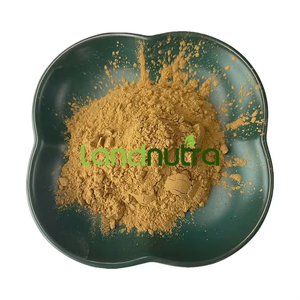 Landnutra Cung cấp acorus <span class=keywords><strong>calamus</strong></span> chiết xuất bột Chất lượng cao acorus <span class=keywords><strong>calamus</strong></span> chiết xuất từ rễ trực tiếp - Product Image 1