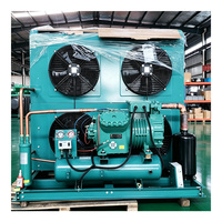 Fabrieksleverancier van condensatoreenheden met compressor voor koelinstallaties in koelopslag