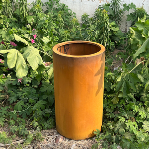 Charme extraordinaire des pots de fleurs en acier résistant aux intempéries pour les <span class=keywords><strong>jardins</strong></span> extérieurs et la décoration intérieure - Product Image 5