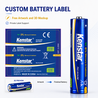 Offre Usine Exceptionnelle Piles Sèches AM3 Ultra Alcalines 2600 mAh 1.5 V LR6 AA, OEM ODM, Vente en Gros