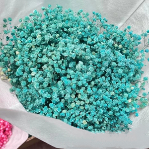 Bouquet di Fiori Secchi di Gypsophila, Piante Naturali Conservate per Matrimoni, Feste, Decorazioni Fai-da-Te in Stile Boho per la Casa - Product Image 2