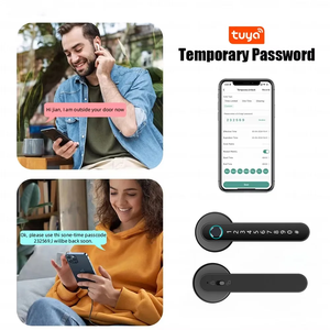 Serrure de porte intelligente pour l'europe argent numérique mot de passe mécanique clé carte bouton poignée cylindre ttlock tuya serrure intelligente - Product Image 4