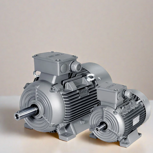Motores de Inducción Trifásicos a Prueba de Explosiones 1MB0063, Eficiencia IE2, 460/480V 50Hz, Impermeables CT4, Uso Industrial - Product Image 1