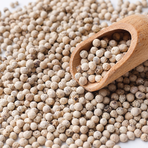 Poivre Blanc Naturel Indien Entier Grains de Poivre Premium Nouvelle Saison Épice Durée de Conservation 24 Mois pour Ingrédient Culinaire en Gros - Product Image 1