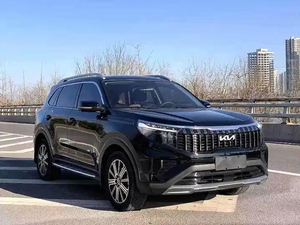 <span class=keywords><strong>Auto</strong></span> Usata con Chilometraggio Estremamente Basso, Sportage Ace 2021 2.0L 6AT Benzina, SUV Usato a Benzina, Spedizione Globale - Product Image 3