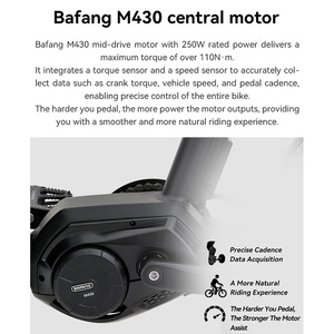 <span class=keywords><strong>Vélo</strong></span> électrique vintage pour bébé, <span class=keywords><strong>vélo</strong></span> cargo, <span class=keywords><strong>vélo</strong></span> électrique de tourisme et de <span class=keywords><strong>famille</strong></span> - Product Image 4