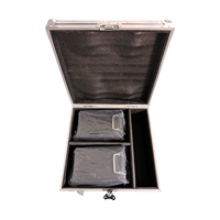 SP 2pcs Metal Flight Case DJ Fire Flame Machine DMX Flamethrower Stage Use AC 110-240V 100W