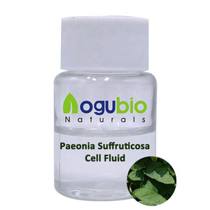 Extrait pur <span class=keywords><strong>de</strong></span> <span class=keywords><strong>Luffa</strong></span> Cylindrica pour les soins <span class=keywords><strong>de</strong></span> la peau et les cosmétiques - Product Image 6