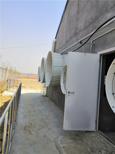 Ventilador de FRP de Accionamiento Directo de Alto Flujo de Aire y Bajo Ruido para Plantas de Tratamiento de Aguas Residuales, Talleres y Naves Industriales - Product Image 5