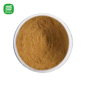 אבקת תמצית פטריית ריישי באיכות מזון, פוליסכרידים 10%20%30%40%50%, תמצית גנודרמה לוסידום - Product Image 1