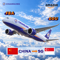 Service de Fret Aérien Fiable Chine-Singapour DDU Porte-à-Porte pour l'Exécution des Commandes Amazon FBA et le Transport de Marchandises en Gros