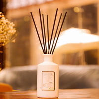 Diffuseur de roseaux parfumés personnalisé 100 ml pour l'Europe et l'Amérique