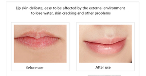 Baume à Lèvres SPF Rose Hydratant Glacier de Marque Privée pour Hommes et Femmes Rouge à Lèvres Nude Hydratant Magnétique avec <span class=keywords><strong>Acide</strong></span> <span class=keywords><strong>Hyaluronique</strong></span> - Product Image 6