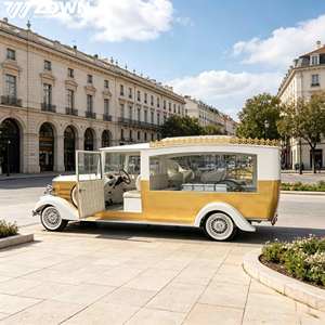 Voiture funéraire électrique vintage ZOWN, style européen classique, couleur or et blanc, type limousine - Product Image 1