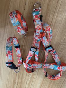 カスタム耐久性ポリエステルウェビングプリントデザインサービスHプラスチックバックル付きドッグストラップハーネス - Product Image 5