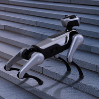 Robot quadrupède Magiclab : Mesure précise et analyse indépendante