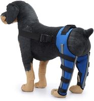Attelle de genou de jambe arrière de chien réfléchissante pour chiens, jambes postérieures déchirées d'ACL récupèrent le protecteur d'enveloppe de joint de blessure de soutien de chien