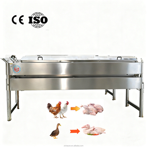 Machine à plumer les <span class=keywords><strong>oiseaux</strong></span> automatique en acier inoxydable 304 avec moteur |   Épluchage des <span class=keywords><strong>plumes</strong></span> de volaille à haute efficacité pour les abattoirs - Product Image 3