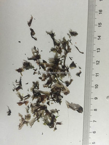 Condimento para Sopa, Calidad de Exportación, Sin Arena, Alga Marina Seca Natural Orgánica, Hojuelas de Nori/Laver Secas de 2-3 mm, Precio de Fábrica, Paquete OEM - Product Image 3