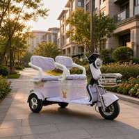 Tricycle électrique à 3 roues pour adultes, E-Trike 2 places avec panier avant et rangement pour les trajets familiaux