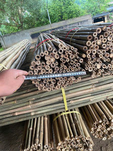 Bâtons de soutien pour plantes en bambou sur mesure, cannes en bambou naturel pour l'agriculture et la décoration de jardin - Product Image 6