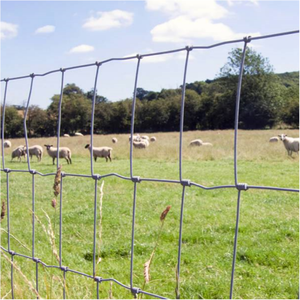 Clôture en grillage galvanisé Veldspan pour ferme/ferme forestière/ferme de cerfs, respectueuse de l'environnement et durable, à nœuds fixes - Product Image 4