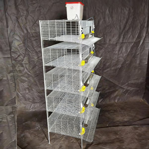 Gabbia <span class=keywords><strong>per</strong></span> <span class=keywords><strong>Quaglie</strong></span> Tipo H, Attrezzatura <span class=keywords><strong>per</strong></span> Allevamento Avicolo <span class=keywords><strong>per</strong></span> Ottimizzazione dello Spazio - Product Image 1