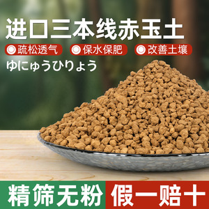 Sustrato Kato Akadama de tamaño de partícula mediano para suculentas, bonsáis y reptiles importado de Japón - Product Image 4