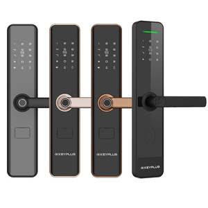 TikTok New Trend Most Popular Residential <b>Smart</b> <b>Lock</b> SMR-001 Residential <b>Lock</b> - Product Image 1