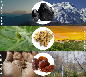 Shilajit ยางบริสุทธิ์ himalayan Gummy Supplement shilajit Gummies - Product Image 2