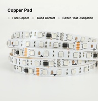 CE RoHS FCC DMX 512 RGB Led Strip Light DMX SPI RGB Adressable Led Strip Light Dc24V 12V Led Light Strip