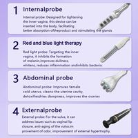 Appareil de resserrement vaginal, best-seller des cliniques de beauté et des spas, baguette de thérapie par lumière rouge, capsule/bâton de resserrement vaginal