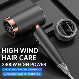 Venta caliente salón ligero bajo ruido secador de pelo de alta velocidad profesional de secado rápido secador de pelo portátil - Product Image 2