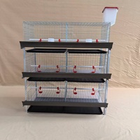 Solution de cage à poulets de chair à 3 niveaux de type H, nouvelle et personnalisée, pour usage agricole, avec capacité et devis, directement de l'usine chinoise