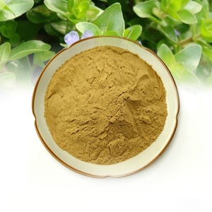 Natural <strong>Bacopa</strong> <strong>Monnieri</strong> Leaf <strong>Extract</strong> High Quality Water Soluble <strong>Bacopa</strong> <strong>Monnieri</strong> <strong>Extract</strong> Powder For Supplements - Product Image 3