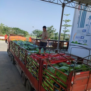 Các nhà máy trực tiếp bán phân bón hợp chất hữu cơ-vô cơ đặc biệt cho sản xuất nông nghiệp. - Product Image 3