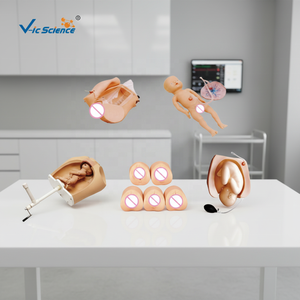 Modèle avancé et complet de palpation abdominale et de rotation de machine d'accouchement pour la science médicale - Product Image 3