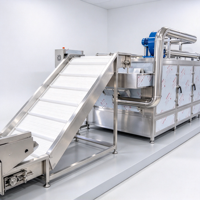 Industriële fruit- en groentedroger met continu transportband, 20 ton per dag, voor grote voedingsmiddelenproductiebedrijven